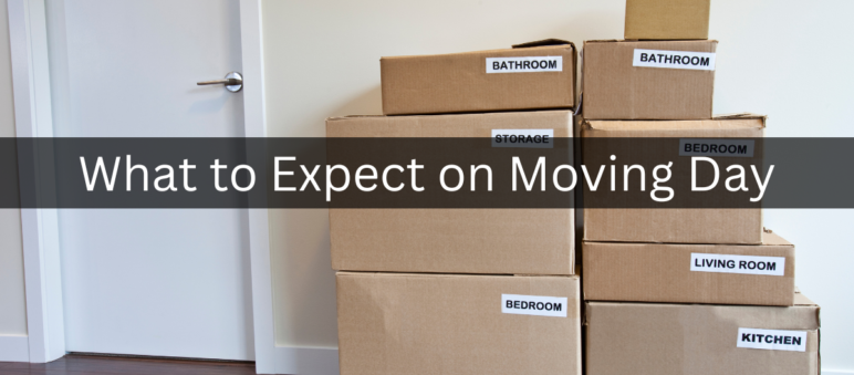 what to expect on moving day